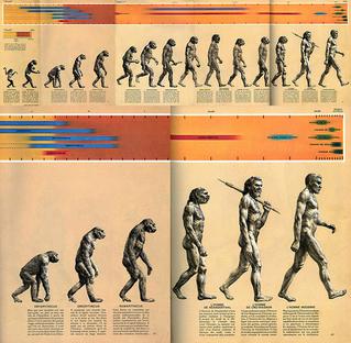 'The March of Progress' of humanity's ancient ape-like ancestors into modern humans. From 'Early Man' (1965).
